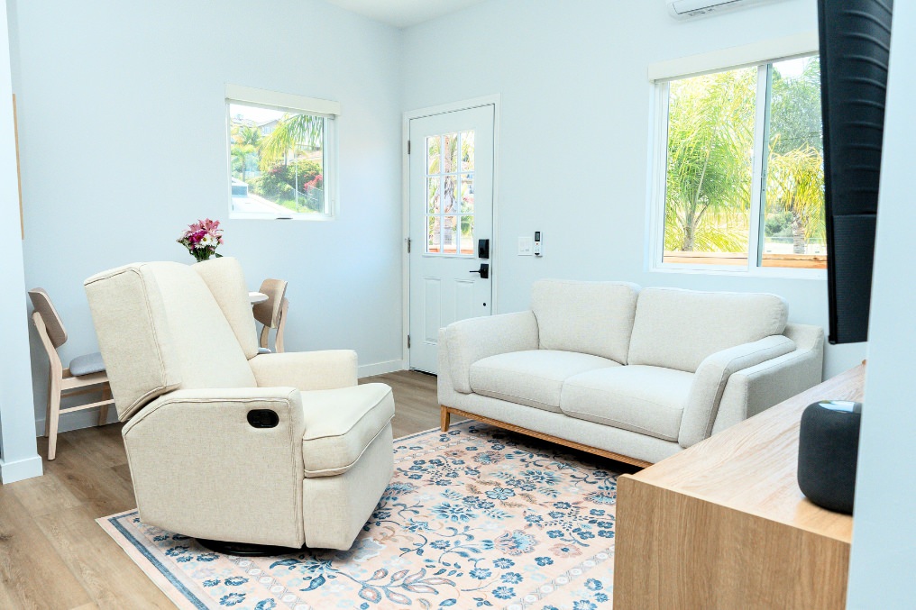 Small ADU living space with recliner, loveseat, and patterned area rug
